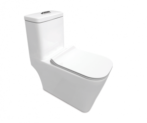 Bàn cầu một khối BRUNNEN BC – 830 Bàn cầu một khối BRUNNEN BC – 830