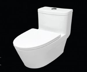 Bàn cầu một khối brunnen BC882 Bàn cầu một khối brunnen BC882